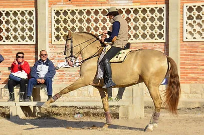 Mario Pérez Langa montando un caballo beige en un entorno rural, listo para entrenar o actuar.