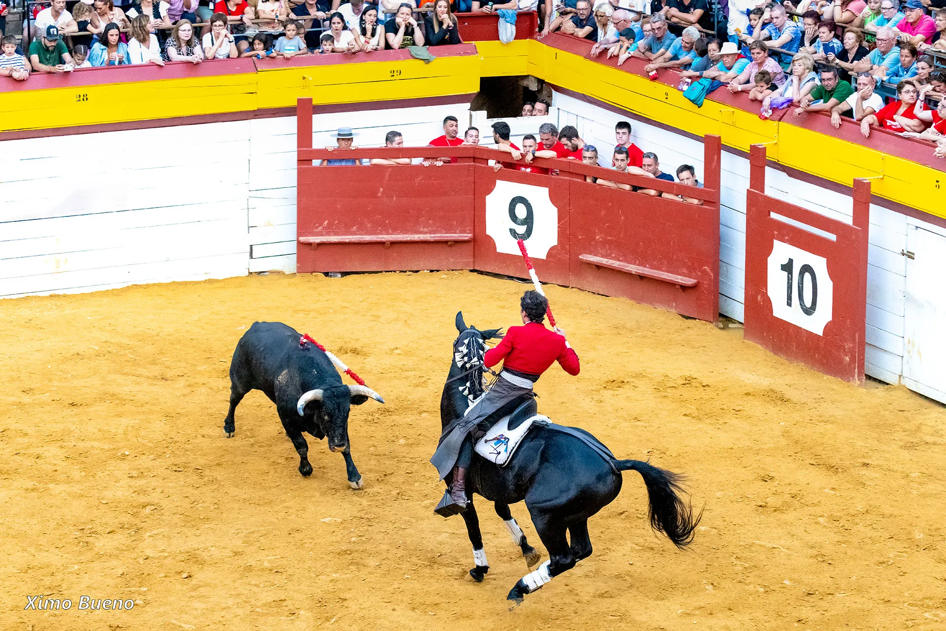 Rejoneador en un caballo negro esquivando un toro mientras mantiene el control total.