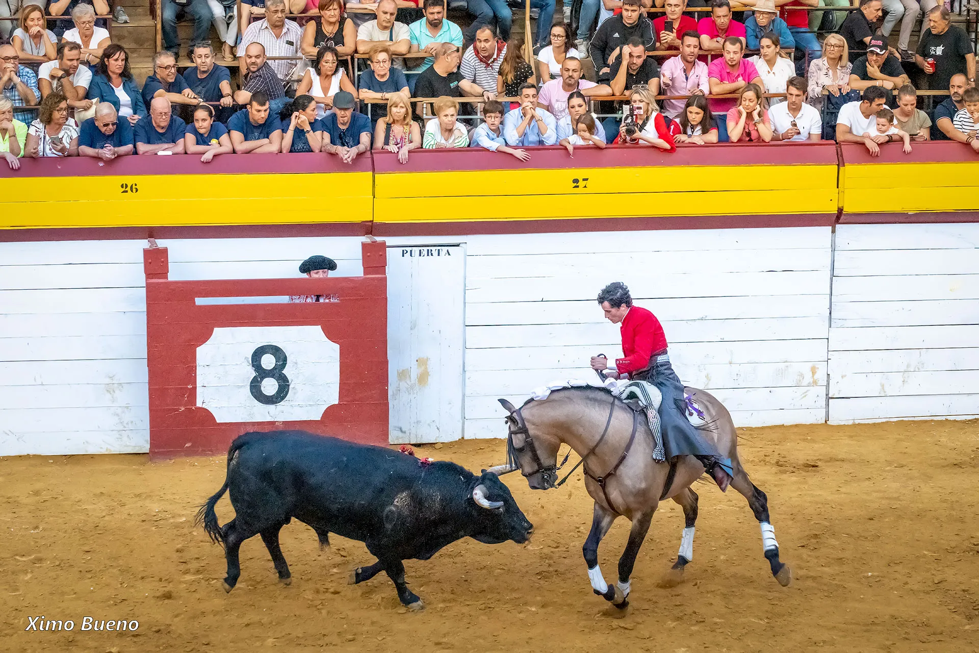 Rejoneador enfrentando a un toro mientras cabalga un caballo marrón en la plaza.