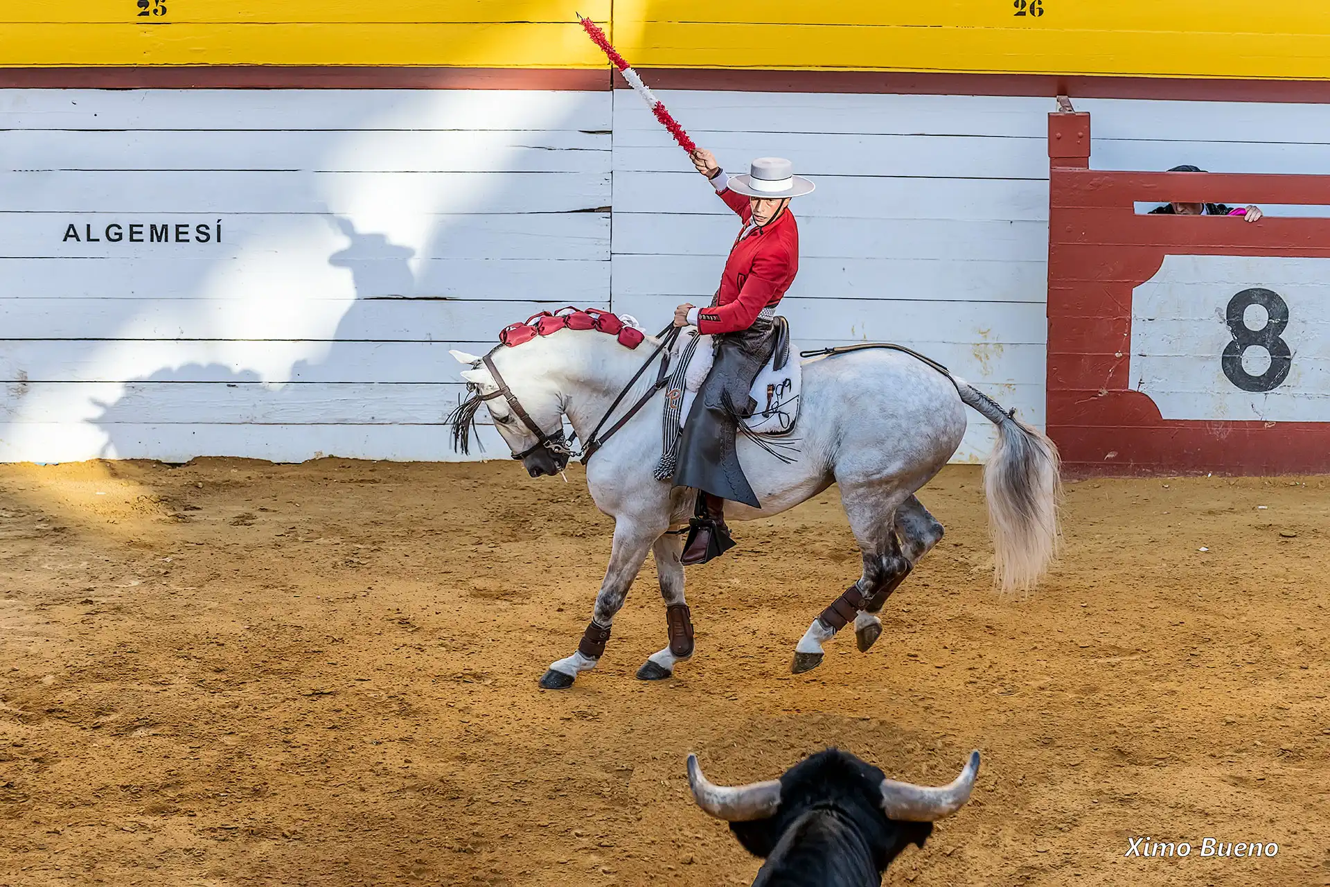Rejoneador levantando su lanza mientras cabalga un caballo blanco frente a un toro.